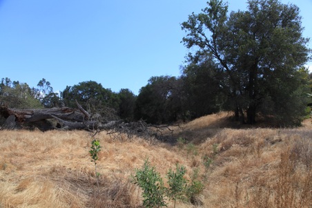 Enlarge photo 39