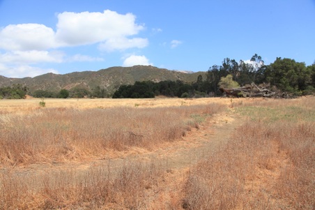Enlarge photo 41