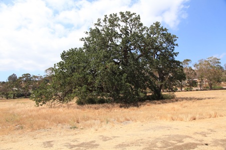 Enlarge photo 44