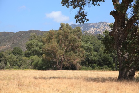 Enlarge photo 54