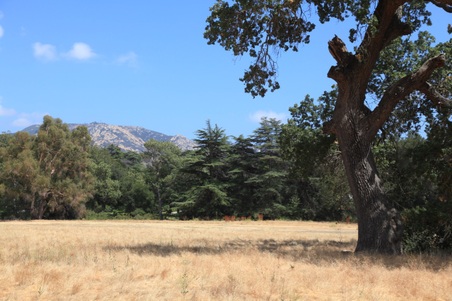 Enlarge photo 57