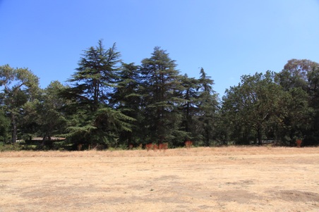 Enlarge photo 59