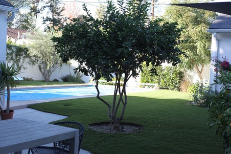 Enlarge photo 63
