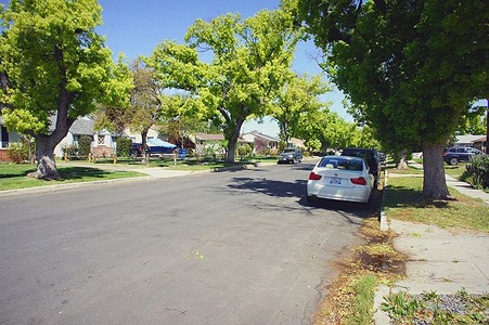 Enlarge photo 52