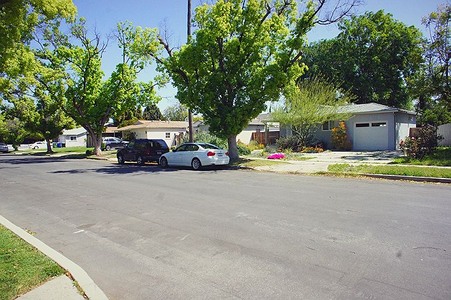 Enlarge photo 54