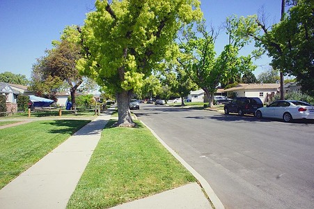 Enlarge photo 55