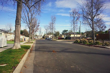 Enlarge photo 63