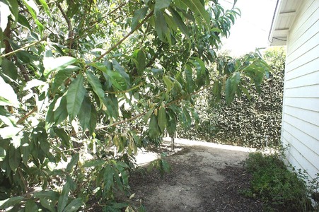 Enlarge photo 51