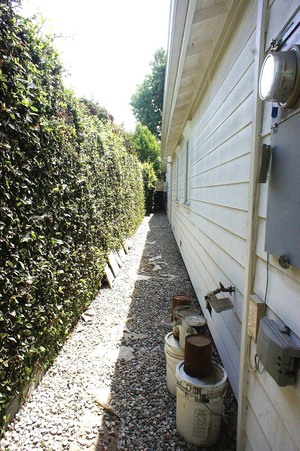 Enlarge photo 52