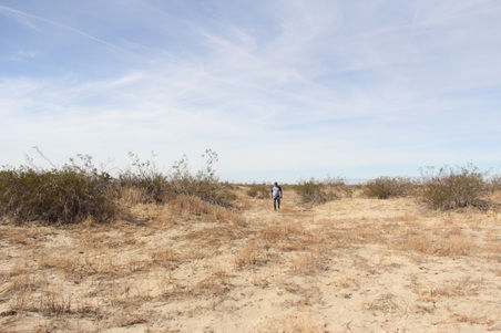 Enlarge photo 2