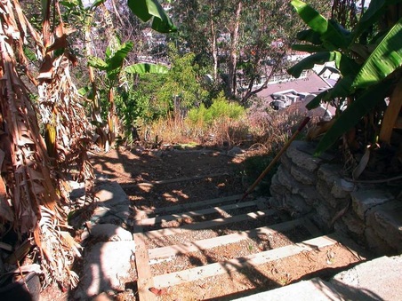 Enlarge photo 26