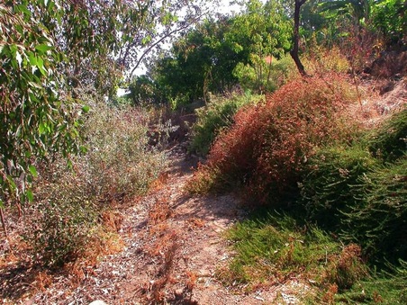 Enlarge photo 29