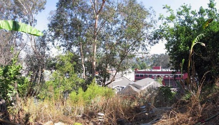 Enlarge photo 32