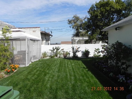 Enlarge photo 12