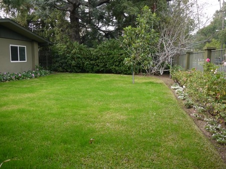 Enlarge photo 2