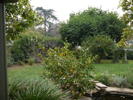 Enlarge photo 33