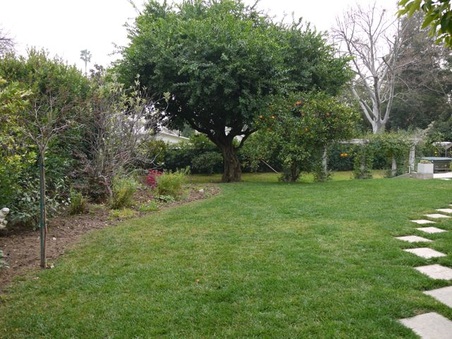 Enlarge photo 40