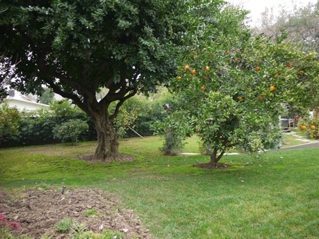 Enlarge photo 41