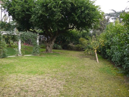 Enlarge photo 46