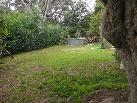 Enlarge photo 51