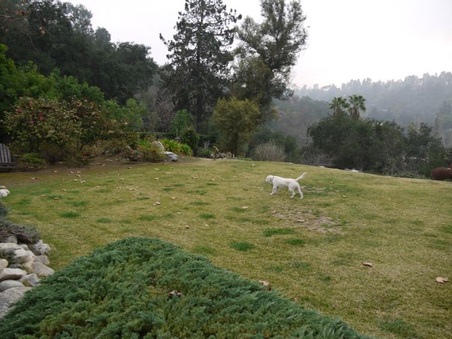 Enlarge photo 27
