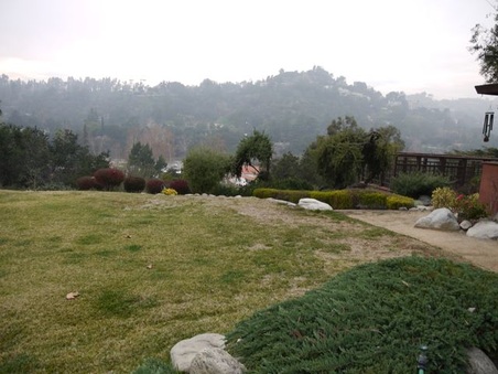 Enlarge photo 29