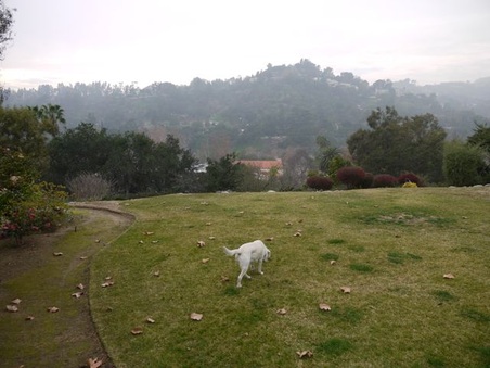 Enlarge photo 26