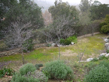 Enlarge photo 36