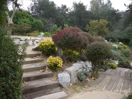 Enlarge photo 39