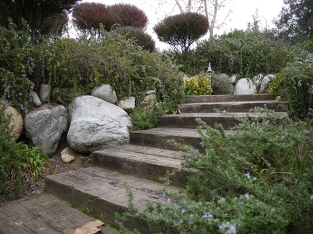 Enlarge photo 46