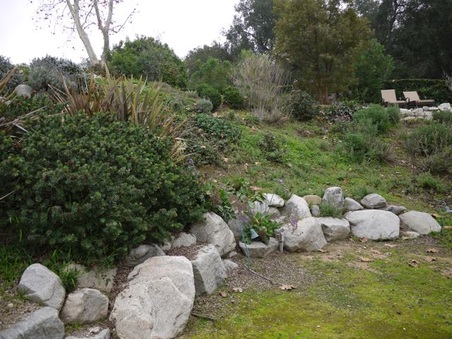 Enlarge photo 45