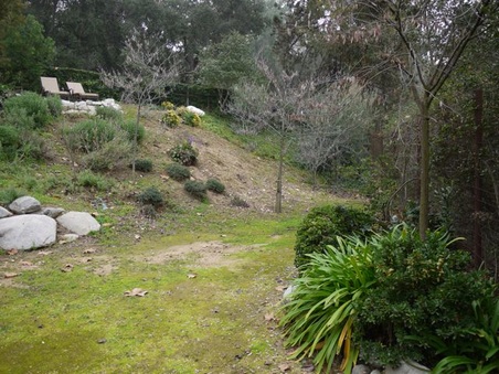 Enlarge photo 44