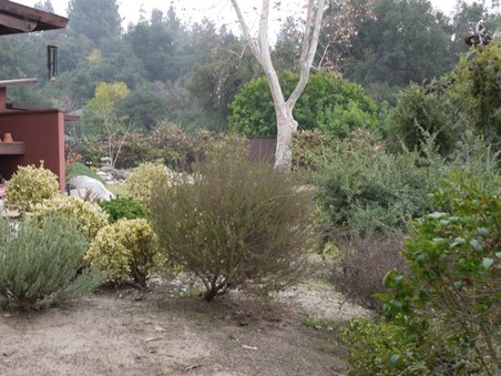 Enlarge photo 51