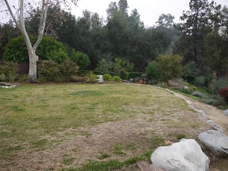 Enlarge photo 52