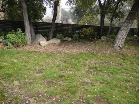 Enlarge photo 37