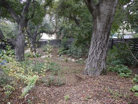 Enlarge photo 45