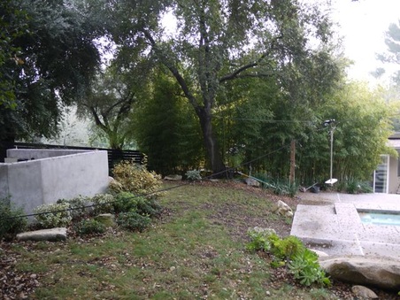 Enlarge photo 41