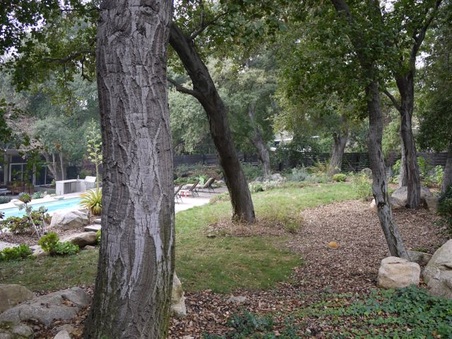 Enlarge photo 50