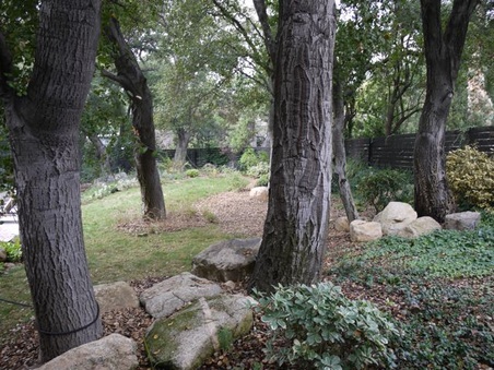 Enlarge photo 51