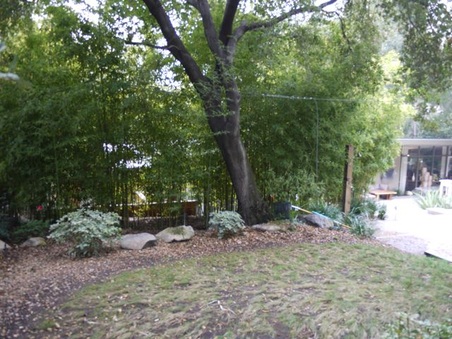 Enlarge photo 49