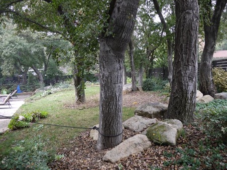 Enlarge photo 48