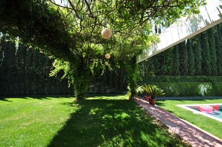 Enlarge photo 40