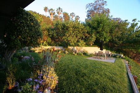 Enlarge photo 2