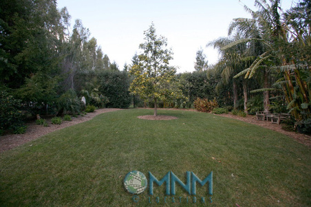 Enlarge photo 40