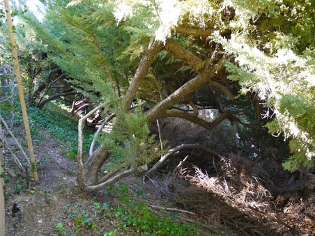 Enlarge photo 31