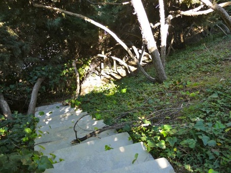 Enlarge photo 32