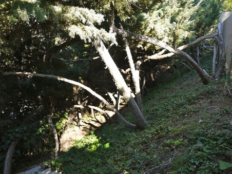 Enlarge photo 33