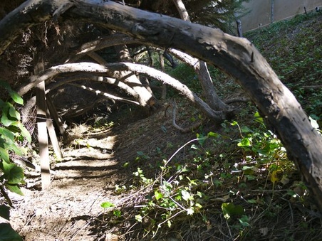 Enlarge photo 34