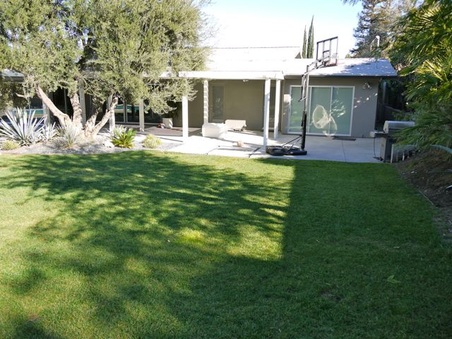 Enlarge photo 42