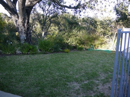 Enlarge photo 31